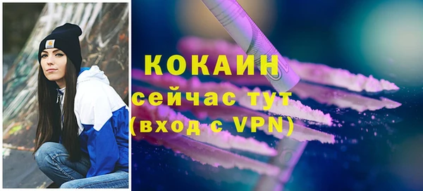 гашик Лагань
